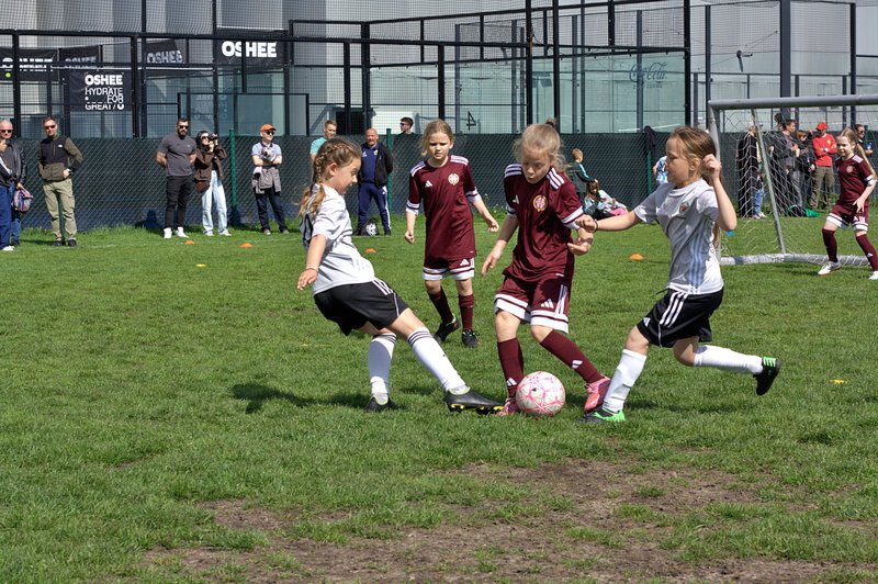 Żaczki Orliczki Checz maj 2026 (3).JPG