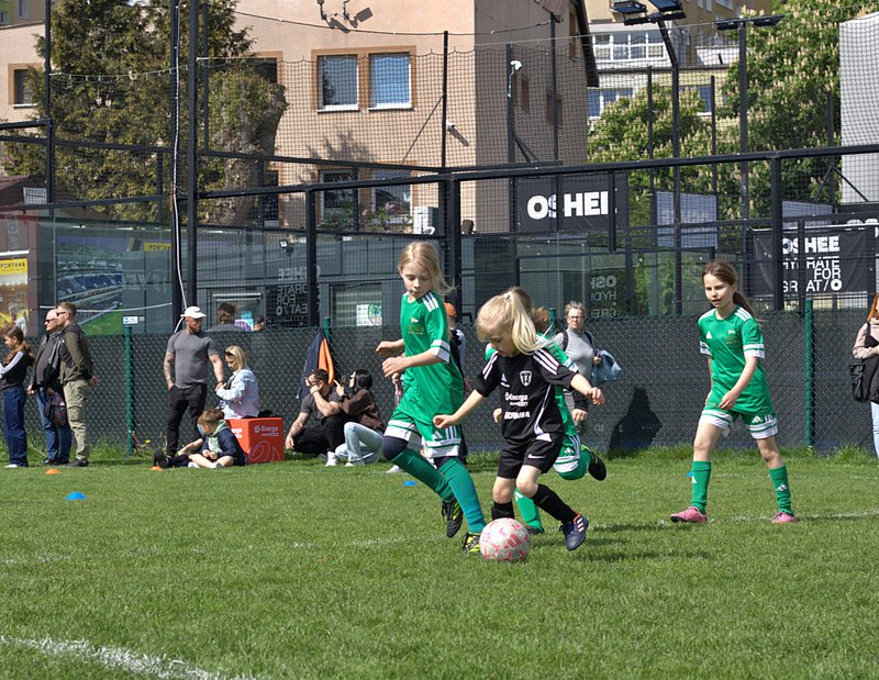 Żaczki Orliczki Checz maj 2026 (4).JPG